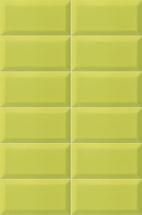 BISSEL Y GREEN 10x20 - 1 M2/BOX